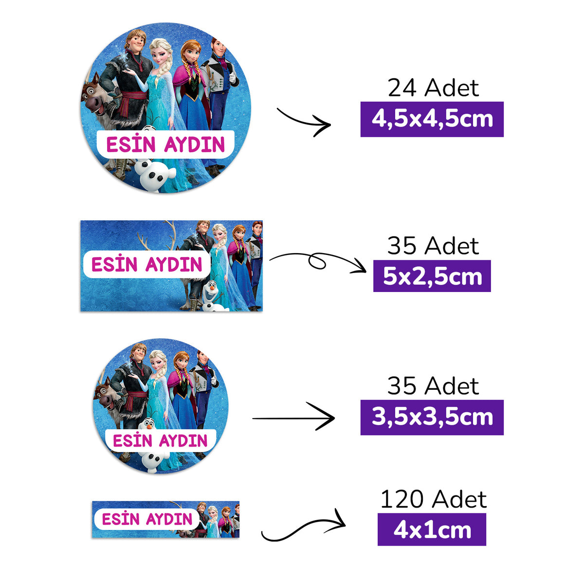 214 Adet Buz Prensesi Temalı Kişiye Özel İsimli Okul Etiketi