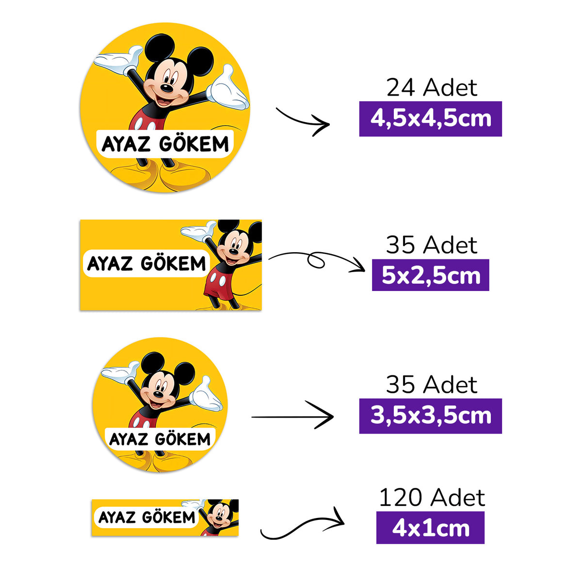 214 Adet Neşeli Fare Temalı Kişiye Özel İsimli Okul Etiketi